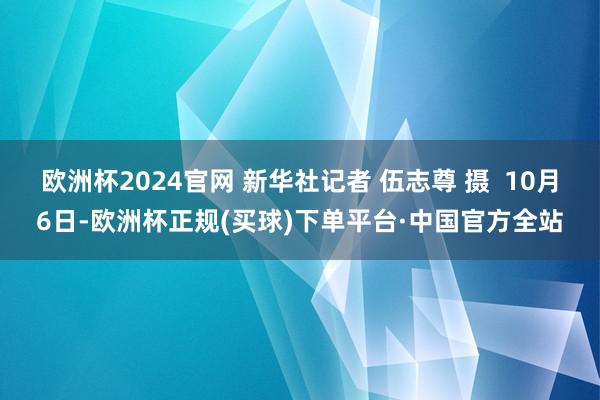 欧洲杯2024官网 新华社记者 伍志尊 摄  10月6日-欧洲杯正规(买球)下单平台·中国官方全站