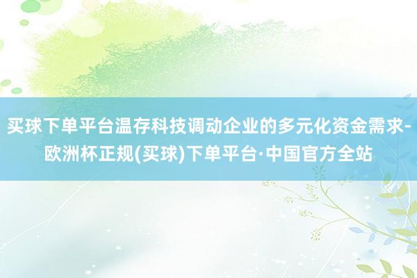 买球下单平台温存科技调动企业的多元化资金需求-欧洲杯正规(买球)下单平台·中国官方全站