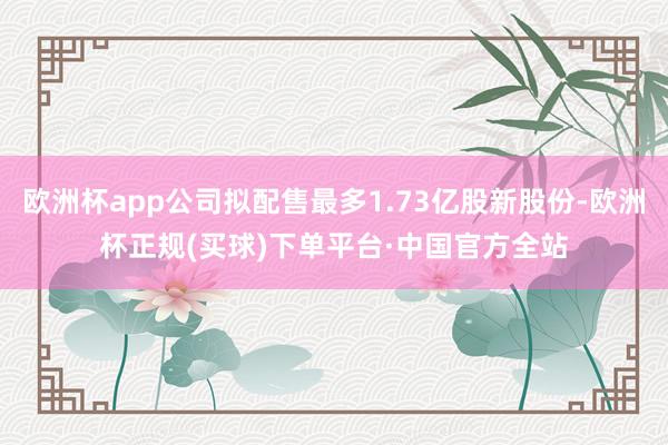 欧洲杯app公司拟配售最多1.73亿股新股份-欧洲杯正规(买球)下单平台·中国官方全站