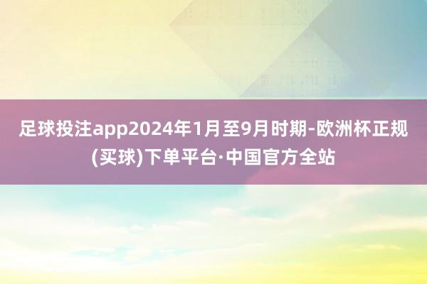 足球投注app2024年1月至9月时期-欧洲杯正规(买球)下单平台·中国官方全站