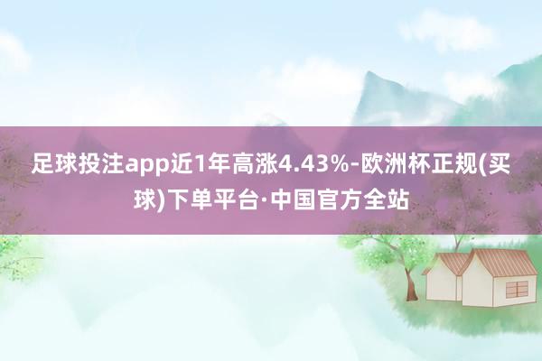 足球投注app近1年高涨4.43%-欧洲杯正规(买球)下单平台·中国官方全站