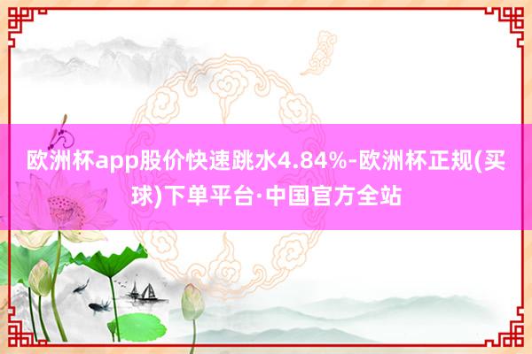 欧洲杯app股价快速跳水4.84%-欧洲杯正规(买球)下单平台·中国官方全站