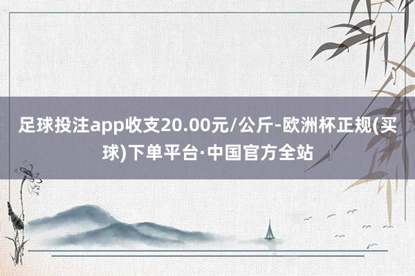 足球投注app收支20.00元/公斤-欧洲杯正规(买球)下单平台·中国官方全站