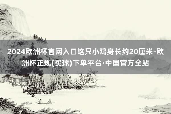 2024欧洲杯官网入口这只小鸡身长约20厘米-欧洲杯正规(买球)下单平台·中国官方全站