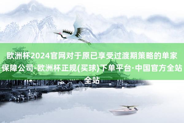 欧洲杯2024官网对于原已享受过渡期策略的单家保障公司-欧洲杯正规(买球)下单平台·中国官方全站