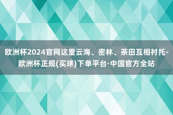 欧洲杯2024官网这里云海、密林、茶田互相衬托-欧洲杯正规(买球)下单平台·中国官方全站