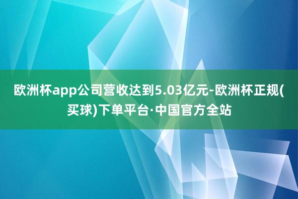 欧洲杯app公司营收达到5.03亿元-欧洲杯正规(买球)下单平台·中国官方全站