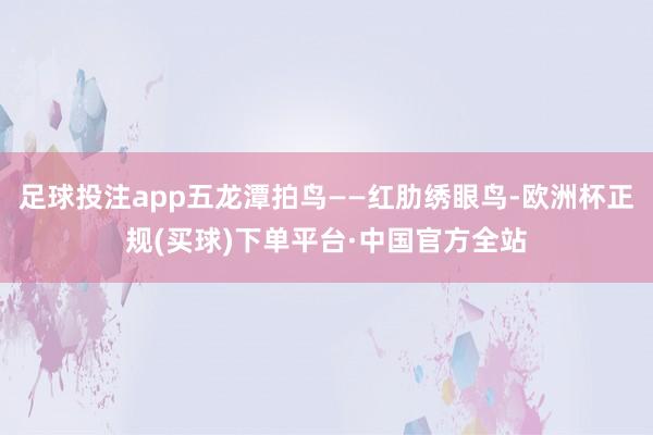 足球投注app五龙潭拍鸟——红肋绣眼鸟-欧洲杯正规(买球)下单平台·中国官方全站