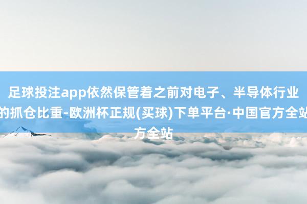 足球投注app依然保管着之前对电子、半导体行业的抓仓比重-欧洲杯正规(买球)下单平台·中国官方全站