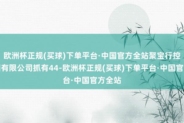 欧洲杯正规(买球)下单平台·中国官方全站聚宝行控股集团有限公司抓有44-欧洲杯正规(买球)下单平台·中国官方全站