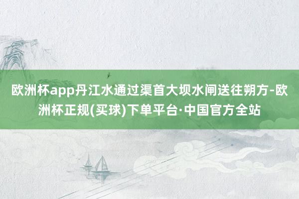 欧洲杯app丹江水通过渠首大坝水闸送往朔方-欧洲杯正规(买球)下单平台·中国官方全站